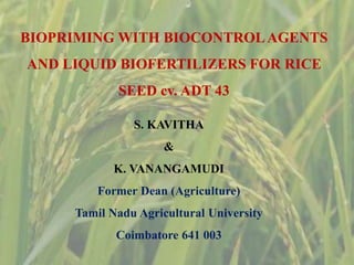 BIOPRIMING WITH BIOCONTROLAGENTS
AND LIQUID BIOFERTILIZERS FOR RICE
SEED cv. ADT 43
S. KAVITHA
&
K. VANANGAMUDI
Former Dean (Agriculture)
Tamil Nadu Agricultural University
Coimbatore 641 003
 