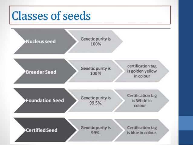 seed certification