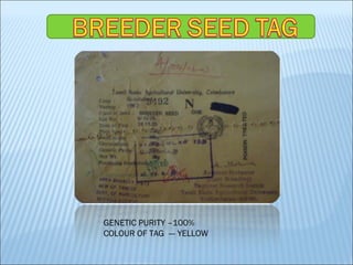 GENETIC PURITY –100%
COLOUR OF TAG --- YELLOW
 