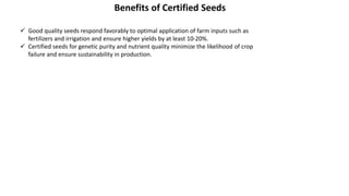  Good quality seeds respond favorably to optimal application of farm inputs such as
fertilizers and irrigation and ensure higher yields by at least 10-20%.
 Certified seeds for genetic purity and nutrient quality minimize the likelihood of crop
failure and ensure sustainability in production.
Benefits of Certified Seeds
 