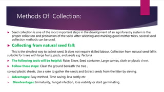 Seed collection and preservation | PPTX