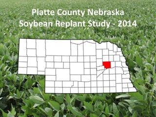 Platte County Nebraska 
Soybean Replant Study - 2014 
 