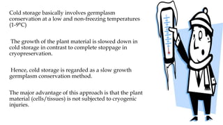 Cold Conservation Seed conservation - A global approach | PPTX