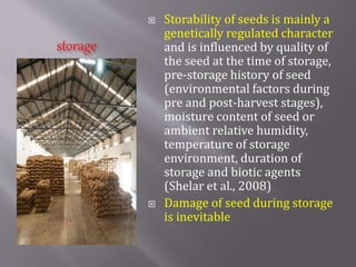 storage
 Storability of seeds is mainly a
genetically regulated character
and is influenced by quality of
the seed at the time of storage,
pre-storage history of seed
(environmental factors during
pre and post-harvest stages),
moisture content of seed or
ambient relative humidity,
temperature of storage
environment, duration of
storage and biotic agents
(Shelar et al., 2008)
 Damage of seed during storage
is inevitable
 