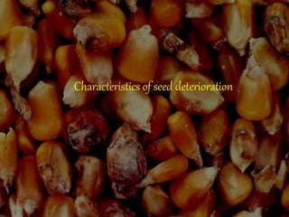 Characteristics of seed deterioration
 