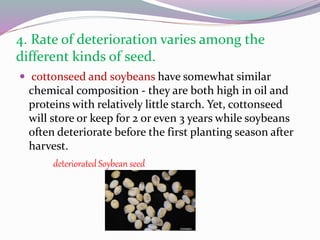4. Rate of deterioration varies among the
different kinds of seed.
 cottonseed and soybeans have somewhat similar
chemical composition - they are both high in oil and
proteins with relatively little starch. Yet, cottonseed
will store or keep for 2 or even 3 years while soybeans
often deteriorate before the first planting season after
harvest.
deteriorated Soybean seed
 