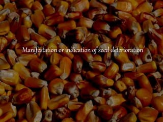 Manifestation or indication of seed deterioration
 