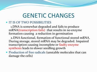 GENETIC CHANGES
 IT IS OF TWO POSSIBILITIES
1.DNA is somewhat degraded and fails to produce
mRNA(transcription fails) that results in no enzyme
formation causing a reduction in germination
2.DNA functional, formation of functional stored mRNA.
During storage, stored mRNA may be degraded. Impaired
transcription causing incomplete or faulty enzyme
synthesis leads to slower seedling growth
 Production of free radicals (unstable molecules that can
damage the cells)
 