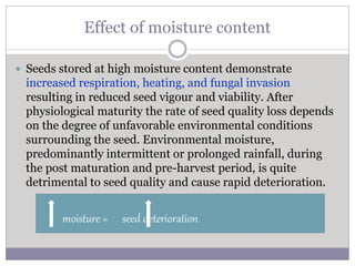 Effect of moisture content
 Seeds stored at high moisture content demonstrate
increased respiration, heating, and fungal invasion
resulting in reduced seed vigour and viability. After
physiological maturity the rate of seed quality loss depends
on the degree of unfavorable environmental conditions
surrounding the seed. Environmental moisture,
predominantly intermittent or prolonged rainfall, during
the post maturation and pre-harvest period, is quite
detrimental to seed quality and cause rapid deterioration.
moisture = seed deterioration
 