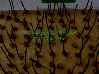 METHODS FOR TESTING SEED
DETERIORATION
 