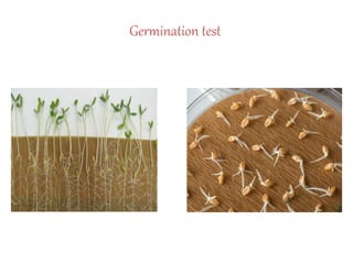 Germination test
 