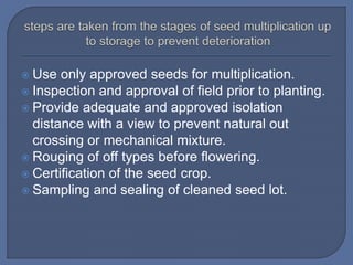  Use only approved seeds for multiplication.
 Inspection and approval of field prior to planting.
 Provide adequate and approved isolation
distance with a view to prevent natural out
crossing or mechanical mixture.
 Rouging of off types before flowering.
 Certification of the seed crop.
 Sampling and sealing of cleaned seed lot.
 