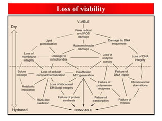 Loss of viability
 