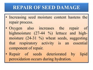 REPAIR OF SEED DAMAGE
• Increasing seed moisture content hastens the
repair process.
• Oxygen also increases the repair of
highmoisture (27-44 %) lettuce and high-
moisture (24-31 %) wheat seeds, suggesting
that respiratory activity is an essential
component of repair.
• Repair of seeds deteriorated by lipid
peroxidation occurs during hydration.
 