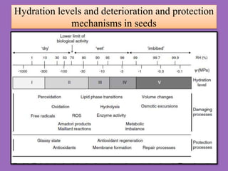 Hydration levels and deterioration and protection
mechanisms in seeds
 