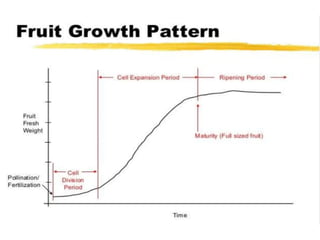 Seed development and fruit growth, biochemistry and molecular biology.pptx