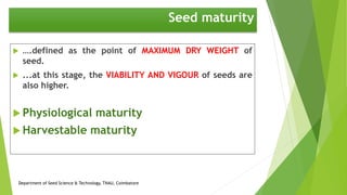 ….defined as the point of MAXIMUM DRY WEIGHT of
seed.
 ...at this stage, the VIABILITY AND VIGOUR of seeds are
also higher.
 Physiological maturity
 Harvestable maturity
Seed maturity
Department of Seed Science & Technology, TNAU, Coimbatore
 