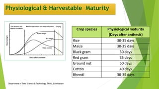 Crop species Physiological maturity
(Days after anthesis)
Rice 30-35 days
Maize 30-35 days
Black gram 30 days
Red gram 35 days
Ground nut 50 days
Cotton 40 days
Bhendi 30-35 days
Physiological & Harvestable Maturity
Department of Seed Science & Technology, TNAU, Coimbatore
 