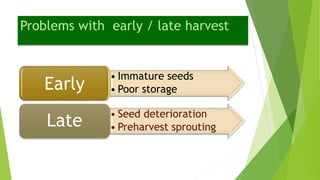 Problems with early / late harvest
• Immature seeds
• Poor storageEarly
• Seed deterioration
• Preharvest sproutingLate
 
