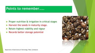  Proper nutrition & irrigation in critical stages
 Harvest the seeds in maturity stage.
 Retain highest viability and vigour
 Records better storage potential
Points to remember…..
Department of Seed Science & Technology, TNAU, Coimbatore
 