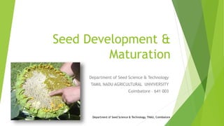 Seed Development &
Maturation
Department of Seed Science & Technology
TAMIL NADU AGRICULTURAL UNVIVERSITY
Coimbatore – 641 003
Department of Seed Science & Technology, TNAU, Coimbatore
 