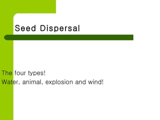 Seed Dispersal The four types! Water, animal, explosion and wind! 