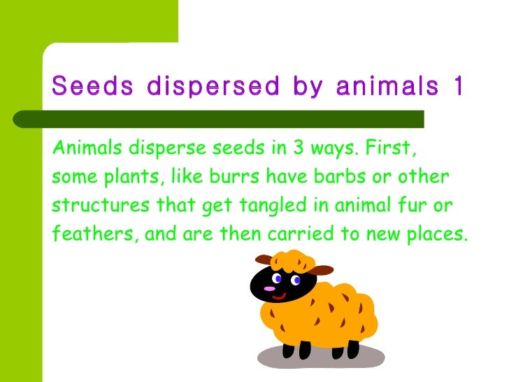 Seed Dispersal