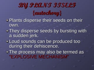 BY PLANT ITSELF {autochory} Plants disperse their seeds on their own. They disperse seeds by bursting with a sudden jerk. Loud sounds can be produced too during their dehiscence. The process may also be termed as  “EXPLOSIVE MECHANISM” 