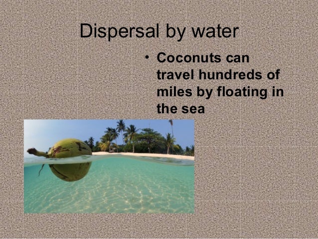 dispersal
