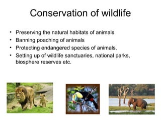 Conservation of wildlife
• Preserving the natural habitats of animals
• Banning poaching of animals
• Protecting endangered species of animals.
• Setting up of wildlife sanctuaries, national parks,
biosphere reserves etc.
 