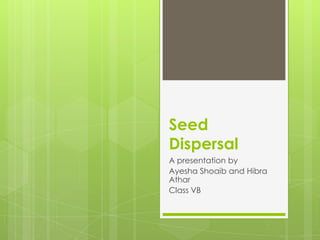 Seed
Dispersal
A presentation by
Ayesha Shoaib and Hibra
Athar
Class VB
 