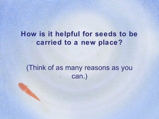 How is it helpful for seeds to be
carried to a new place?
(Think of as many reasons as you
can.)
 