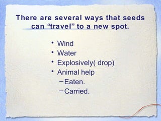 There are several ways that seeds
can “travel” to a new spot.
• Wind
• Water
• Explosively( drop)
• Animal help
–Eaten.
–Carried.
 