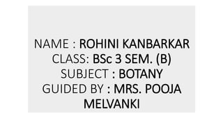 NAME : ROHINI KANBARKAR
CLASS: BSc 3 SEM. (B)
SUBJECT : BOTANY
GUIDED BY : MRS. POOJA
MELVANKI
 