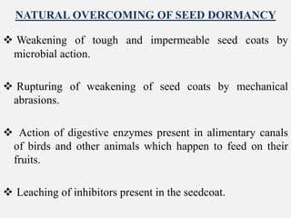 NATURAL OVERCOMING OF SEED DORMANCY
 Weakening of tough and impermeable seed coats by
microbial action.
 Rupturing of weakening of seed coats by mechanical
abrasions.
 Action of digestive enzymes present in alimentary canals
of birds and other animals which happen to feed on their
fruits.
 Leaching of inhibitors present in the seedcoat.
 