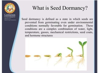 Seed dormancy | PPTX