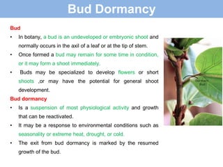 Comprehensive Overview of Seed and Bud Dormancy Mechanisms in Plants | PDF