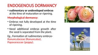 Comprehensive Guide to Seed Dormancy and Germination in Fruit Crops | PPTX