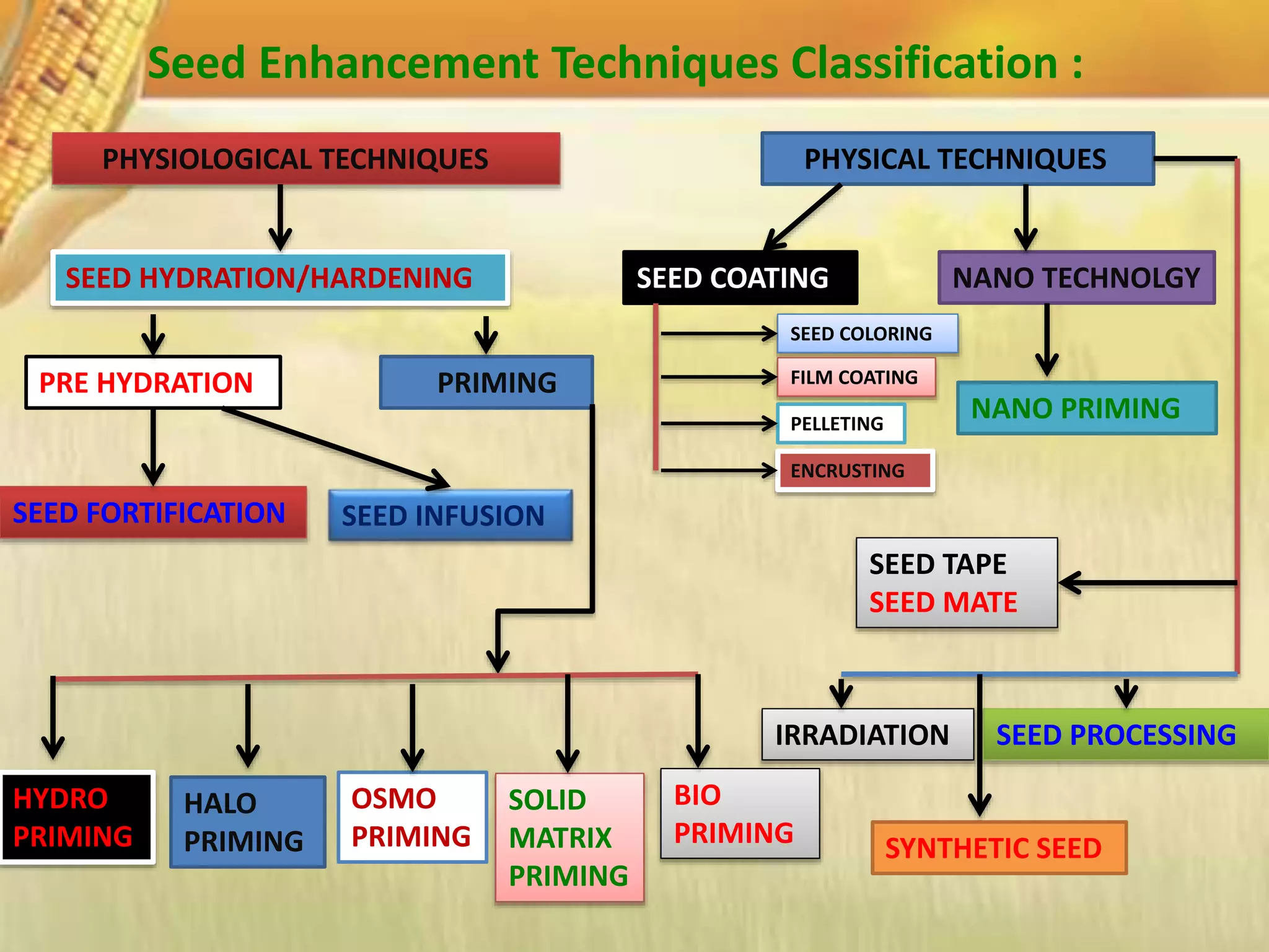 Seed Enhancement Techniques Classification :
PHYSIOLOGICAL TECHNIQUES PHYSICAL TECHNIQUES
SEED HYDRATION/HARDENING
PRE HYDRATION PRIMING
SEED FORTIFICATION SEED INFUSION
HYDRO
PRIMING
HALO
PRIMING
OSMO
PRIMING
SOLID
MATRIX
PRIMING
BIO
PRIMING
SEED COATING NANO TECHNOLGY
NANO PRIMING
SEED TAPE
SEED MATE
IRRADIATION SEED PROCESSING
SYNTHETIC SEED
SEED COLORING
FILM COATING
PELLETING
ENCRUSTING
 
