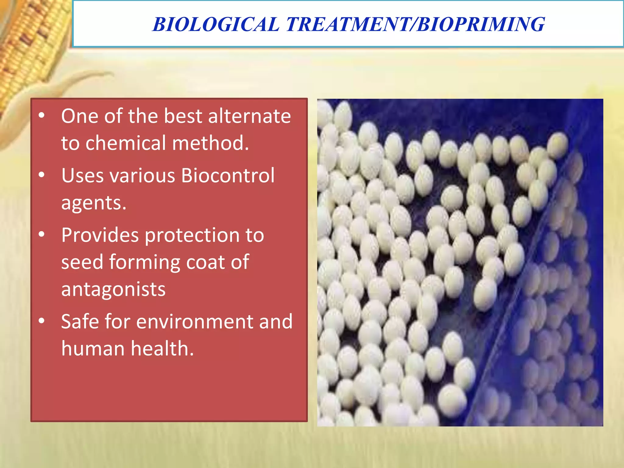 BIOLOGICAL TREATMENT/BIOPRIMING
• One of the best alternate
to chemical method.
• Uses various Biocontrol
agents.
• Provides protection to
seed forming coat of
antagonists
• Safe for environment and
human health.
 