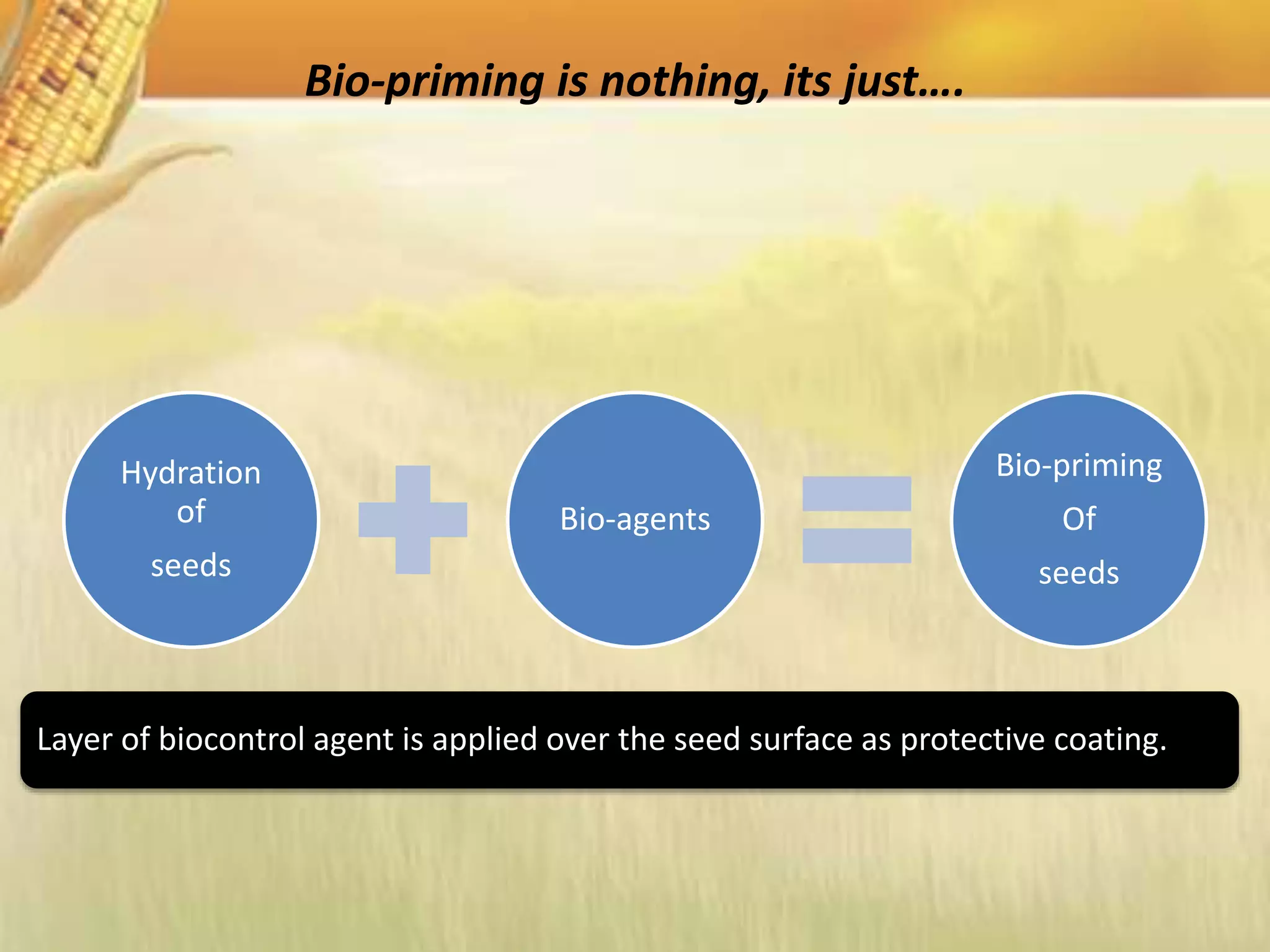 Hydration
of
seeds
Bio-agents
Bio-priming
Of
seeds
Bio-priming is nothing, its just….
Layer of biocontrol agent is applied over the seed surface as protective coating.
 