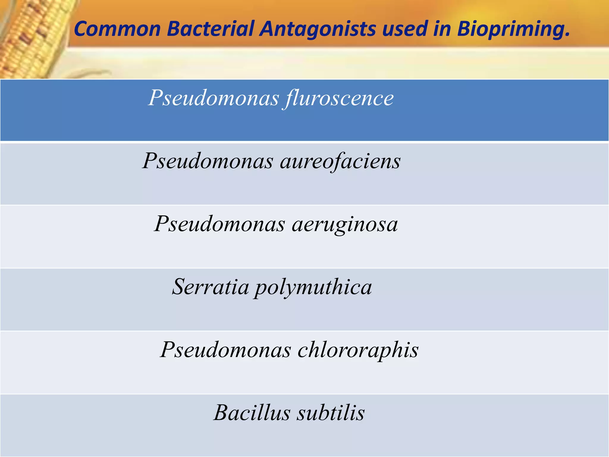 Pseudomonas fluroscence
Pseudomonas aureofaciens
Pseudomonas aeruginosa
Serratia polymuthica
Pseudomonas chlororaphis
Bacillus subtilis
Common Bacterial Antagonists used in Biopriming.
 
