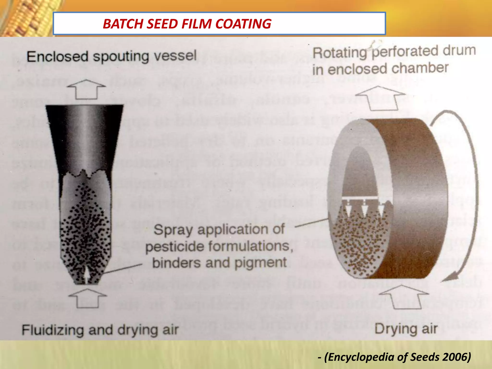 BATCH SEED FILM COATING
- (Encyclopedia of Seeds 2006)
 