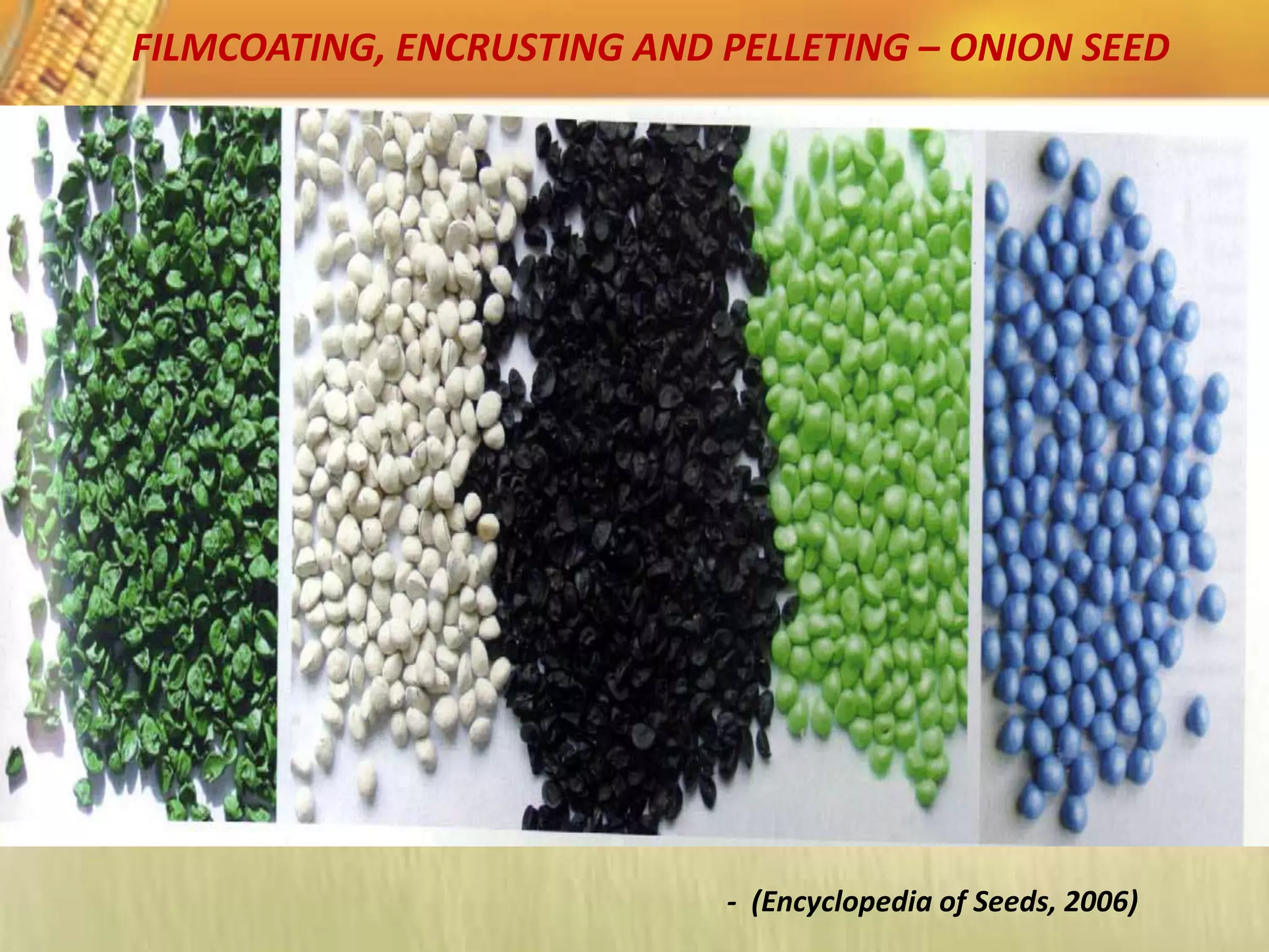 FILMCOATING, ENCRUSTING AND PELLETING – ONION SEED
- (Encyclopedia of Seeds, 2006)
 