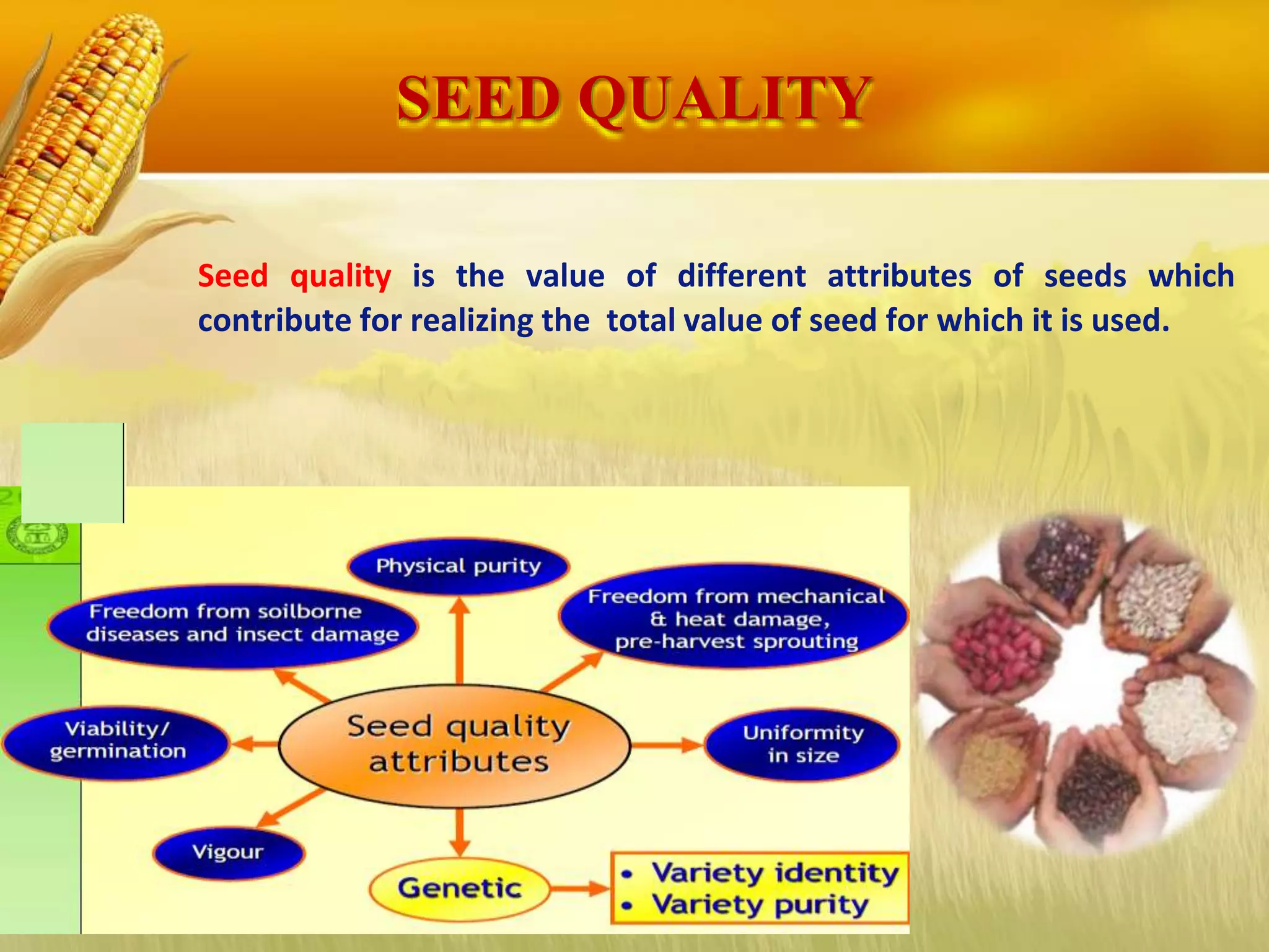 Seed quality is the value of different attributes of seeds which
contribute for realizing the total value of seed for which it is used.
SEED QUALITY
 