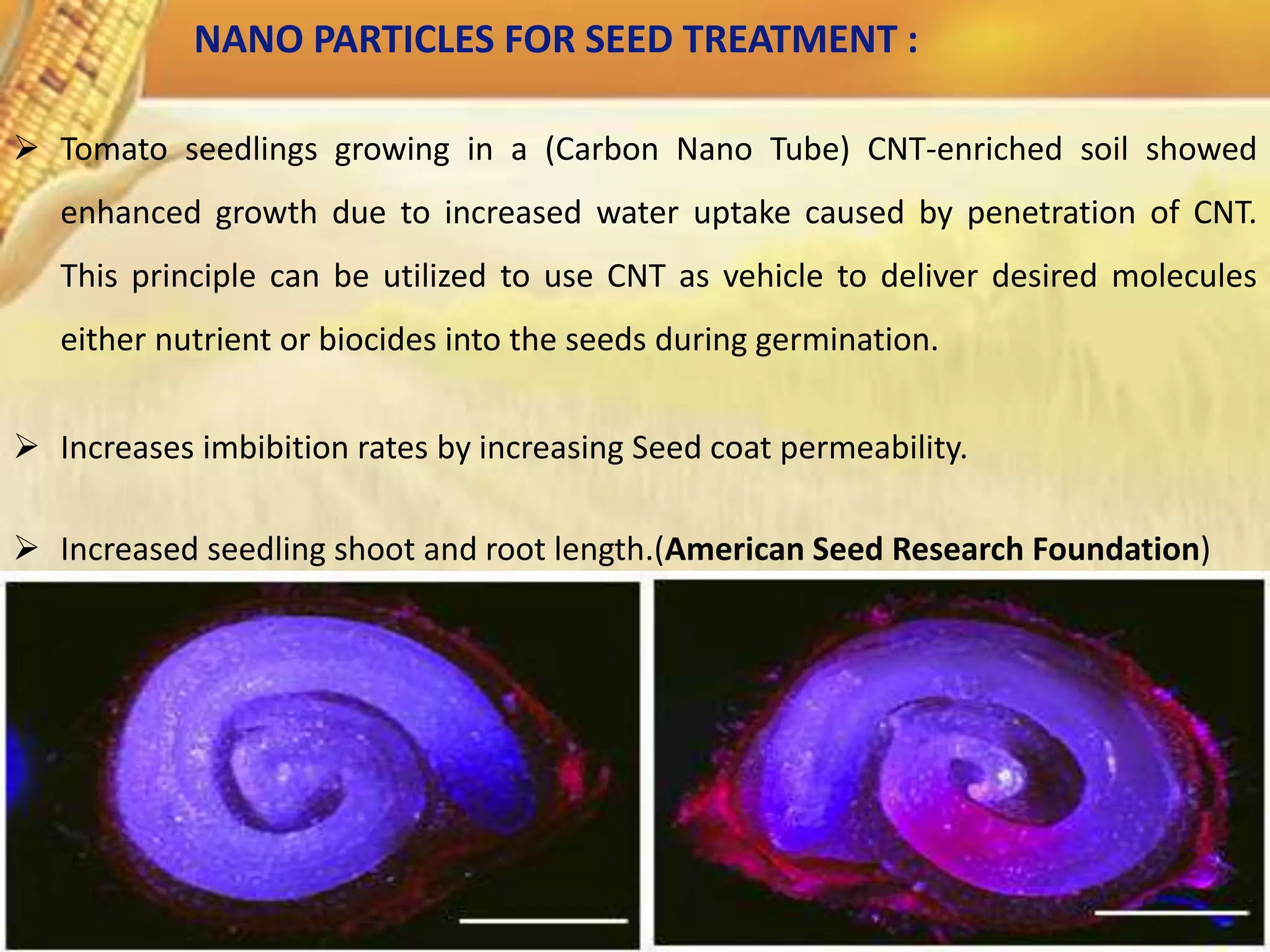 NANO PARTICLES FOR SEED TREATMENT :
 Tomato seedlings growing in a (Carbon Nano Tube) CNT-enriched soil showed
enhanced growth due to increased water uptake caused by penetration of CNT.
This principle can be utilized to use CNT as vehicle to deliver desired molecules
either nutrient or biocides into the seeds during germination.
 Increases imbibition rates by increasing Seed coat permeability.
 Increased seedling shoot and root length.(American Seed Research Foundation)
 