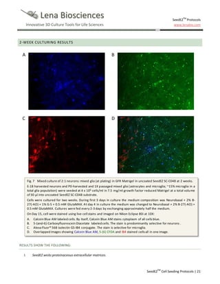 SeedEZ 3D cell culture methods and protocols - cell seeding | PDF