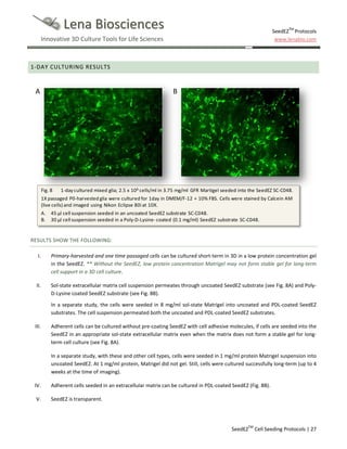 SeedEZ 3D cell culture methods and protocols - cell seeding | PDF