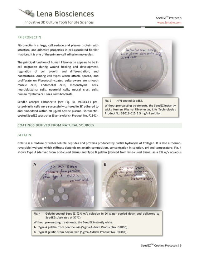 SeedEZ 3D cell culture methods and protocols tissue culture coating