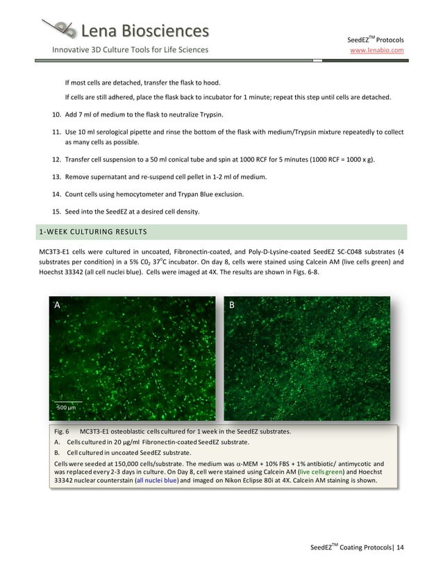 SeedEZ 3D cell culture methods and protocols tissue culture coating
